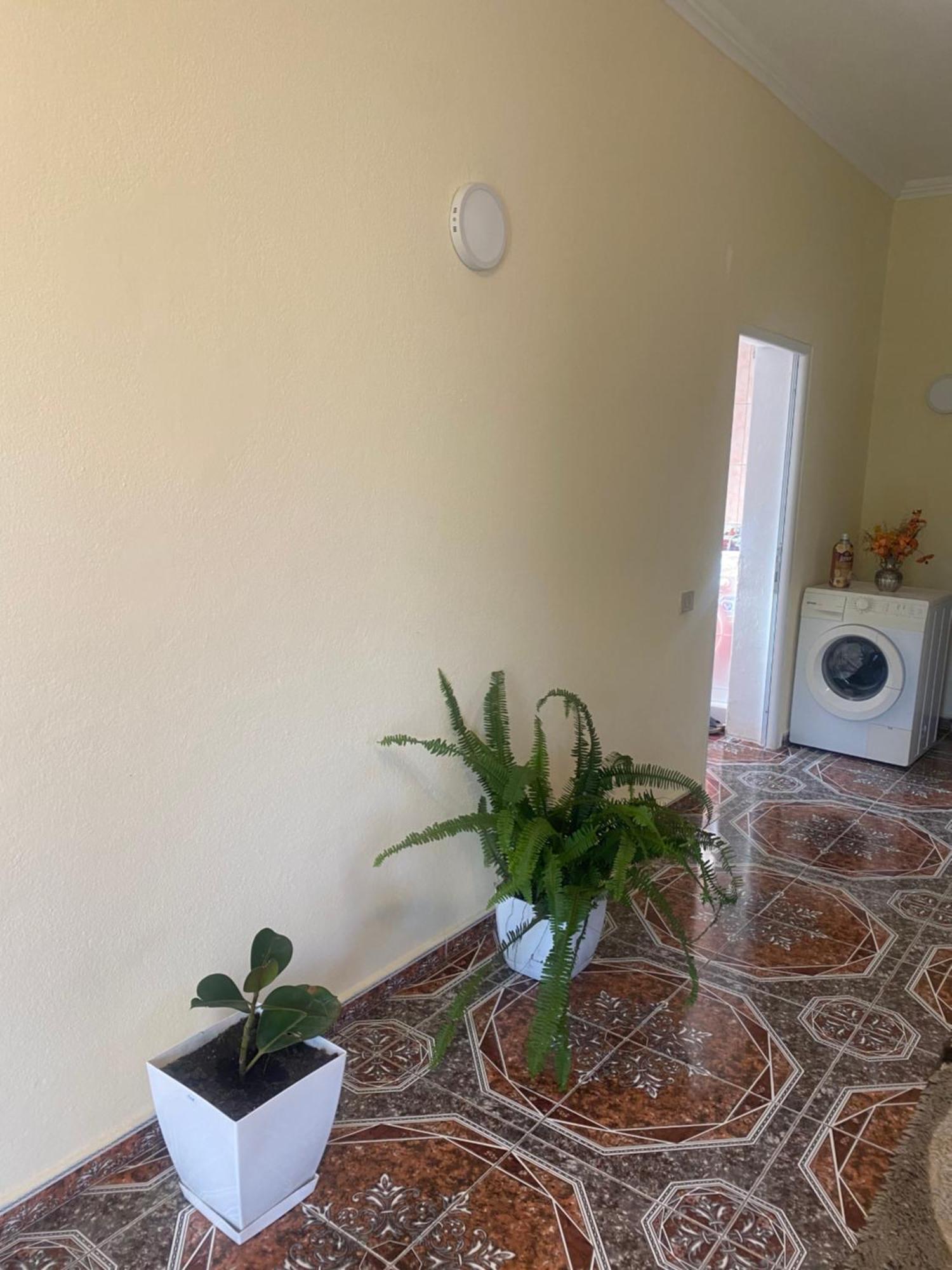 The Hideaway Guesthouse Bahçallëk エクステリア 写真
