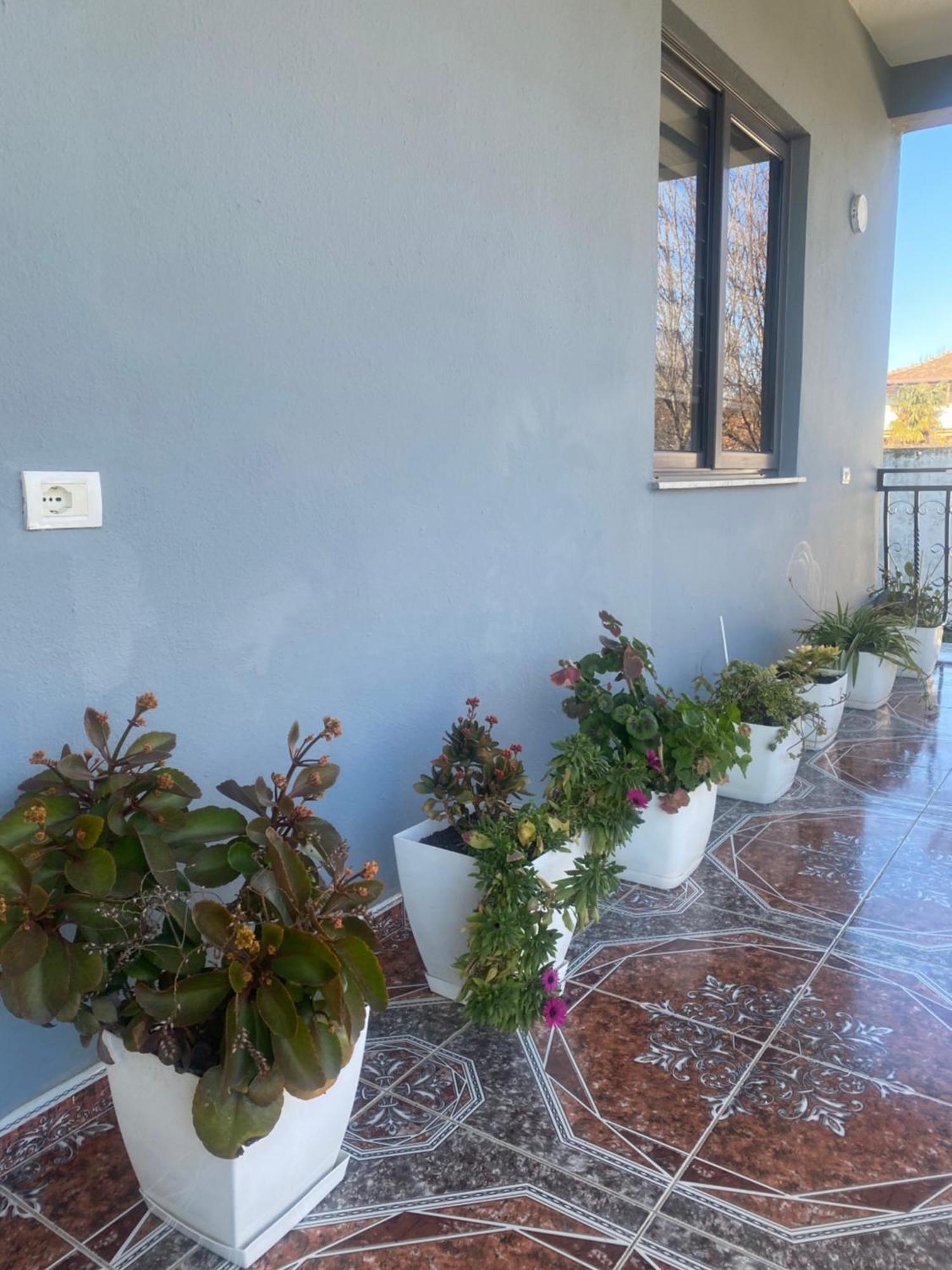The Hideaway Guesthouse Bahçallëk エクステリア 写真